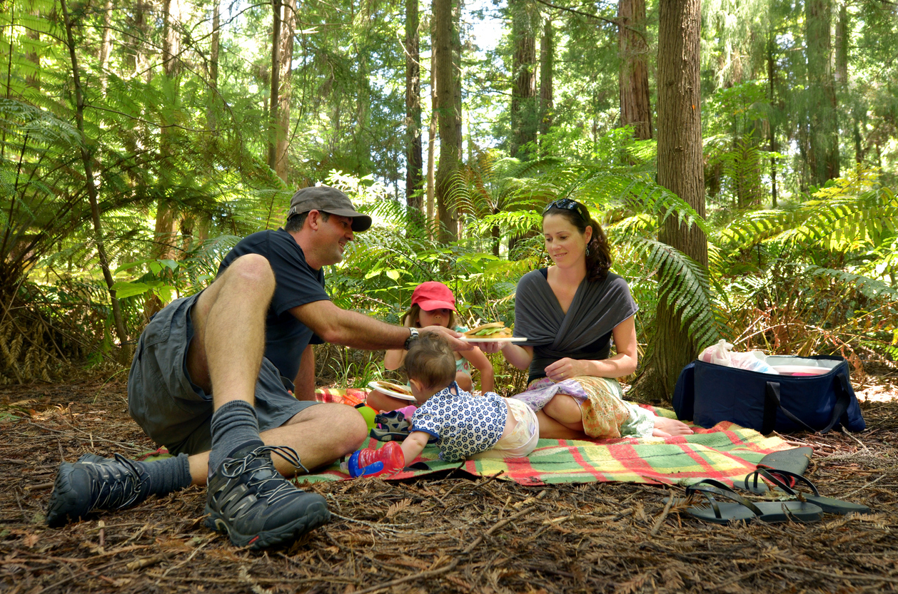FamilyBoost Changes Now in Law – What Families Need to Know