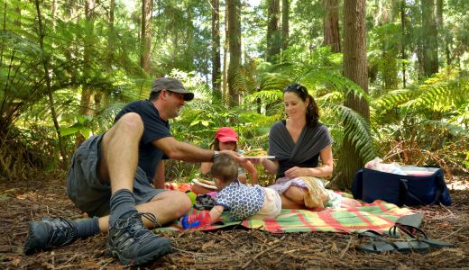 FamilyBoost Changes Now in Law – What Families Need to Know